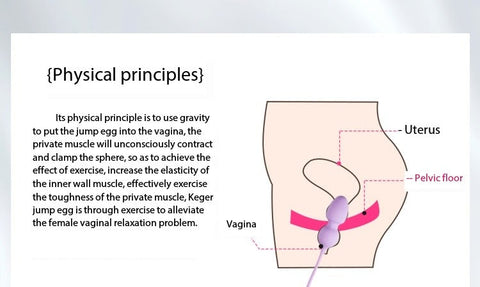 D044- Kegel vaginal exercises Pelvic floor muscle repair exercises for women